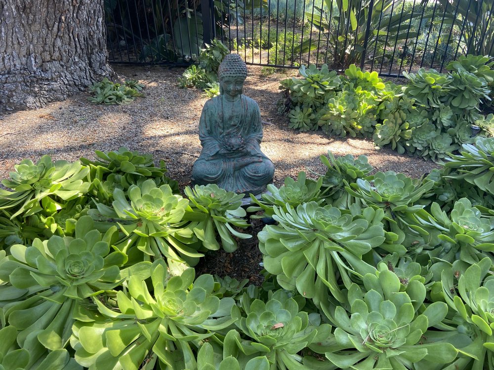 Buddha by Pond 